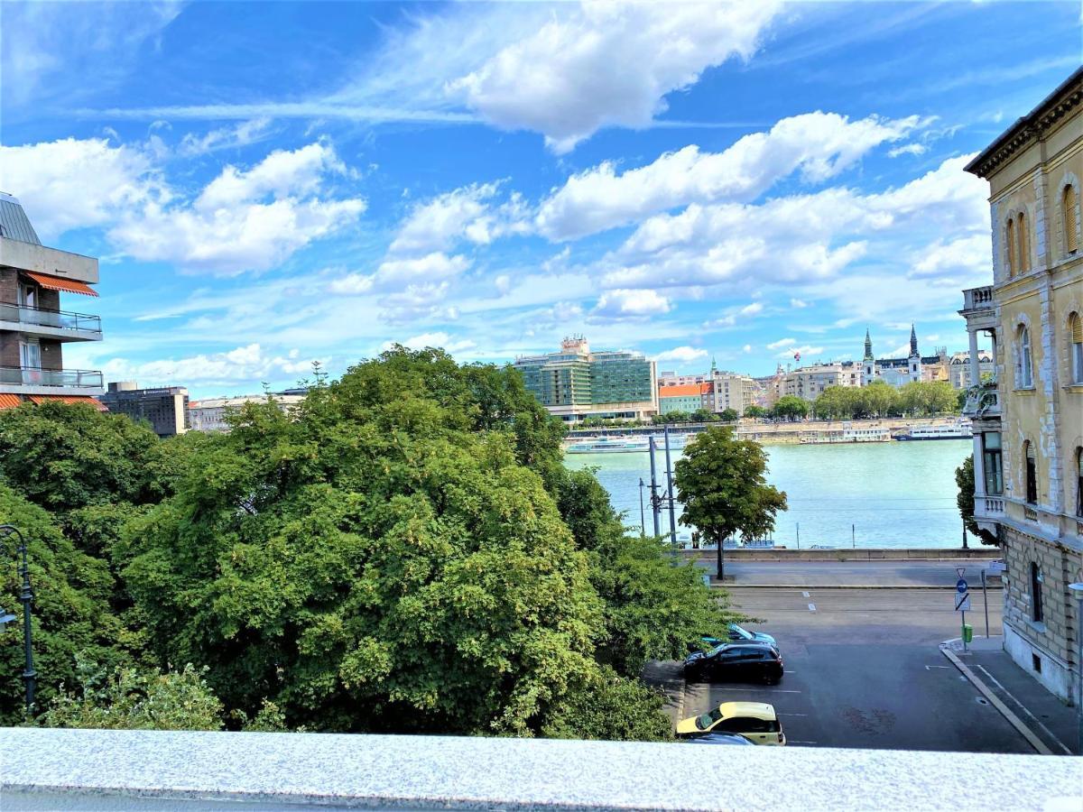 Danube View Artapartment With Balcony 布达佩斯 外观 照片
